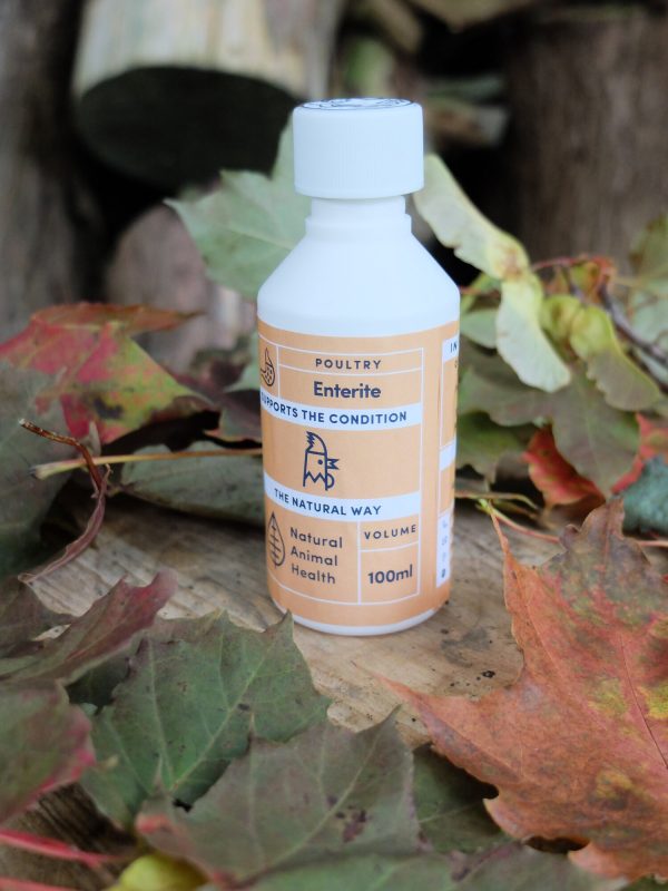 Bottle of Enterite for diahorrea in chickens