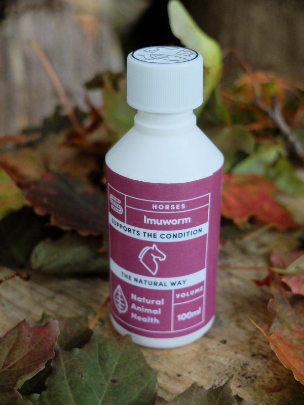 bottle of wormer for horses