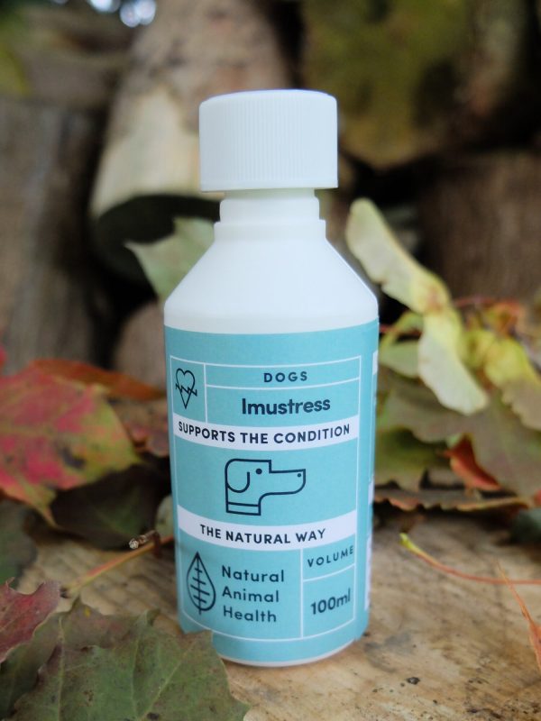 bottle of Imustress for stress in dogs