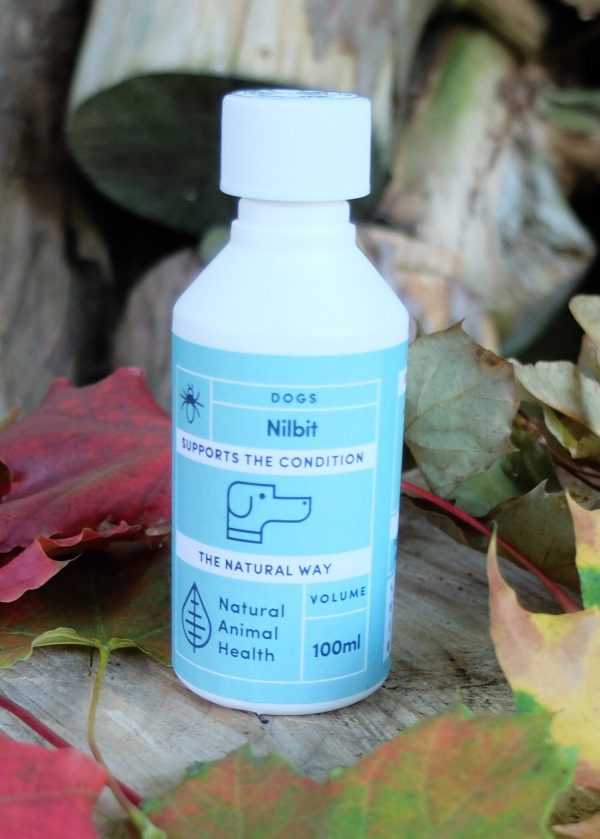 bottle of Nilbit for lice in dogs