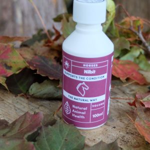 Bottle of Nilbit for Lice in horses